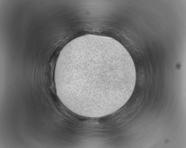 X0000116890747201001191805