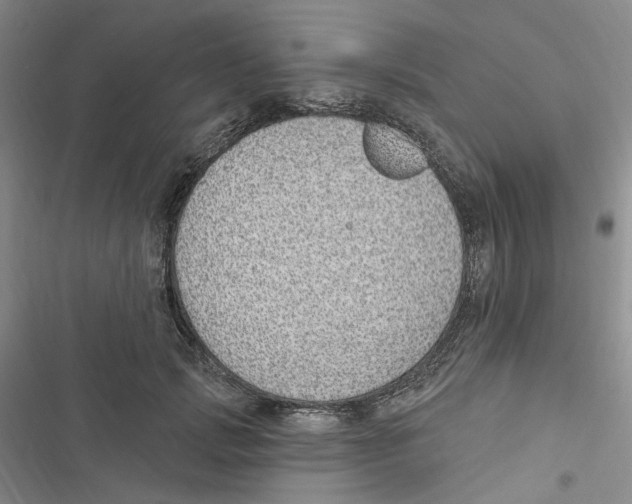 X0000116890749201001191805