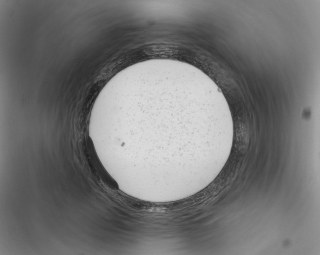 X0000116890751201001191805