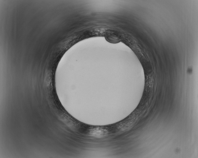 X0000116890754201001191805