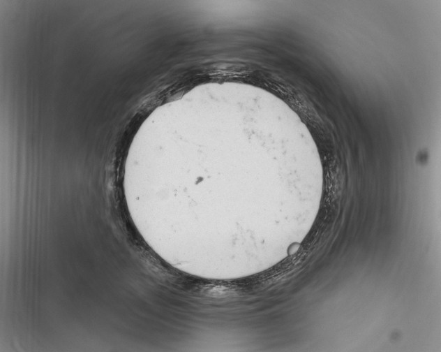 X0000116890755201001191805