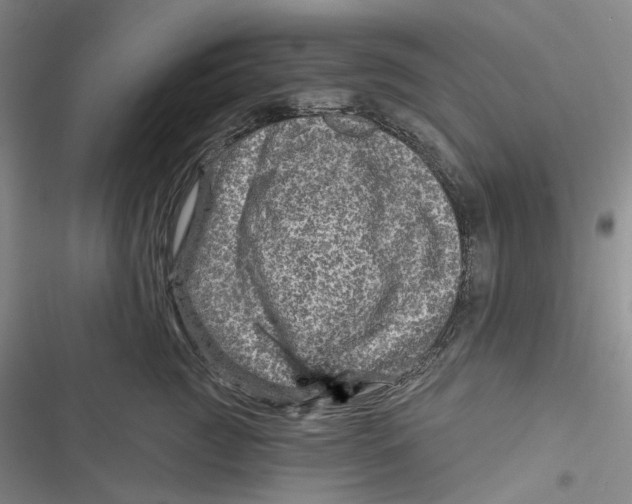 X0000116890761201001191805