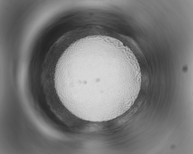 X0000116890765201001191805