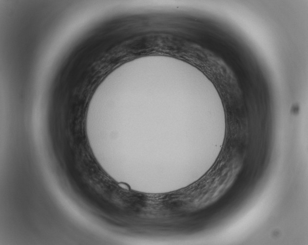 X0000116890766201001191805