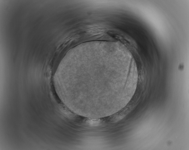 X0000116890767201001191805