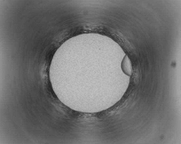 X0000116890770201001191805