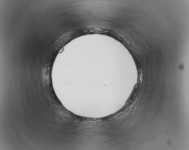 X0000116890771201001191805