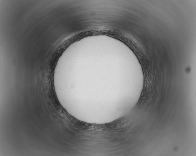 X0000116890773201001191804