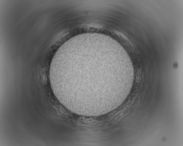 X0000116890774201001191804