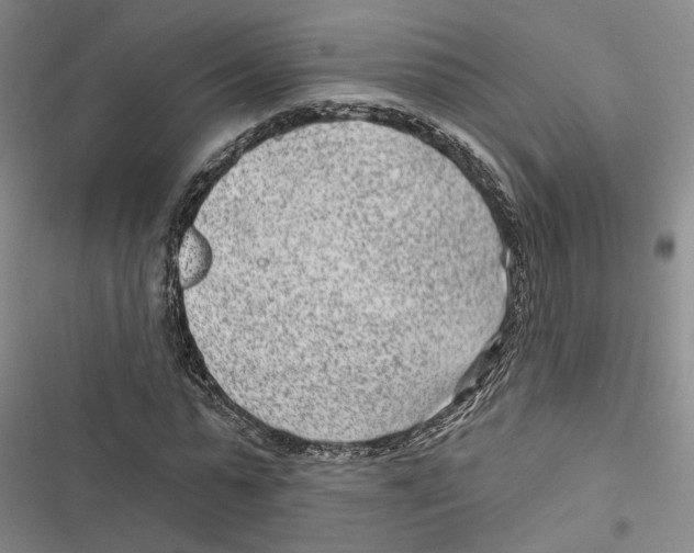 X0000116890775201001191804