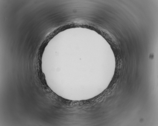 X0000116890776201001191804