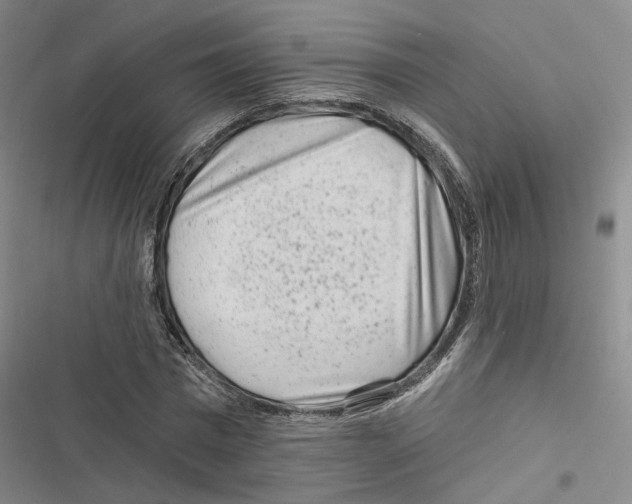 X0000116890777201001191804