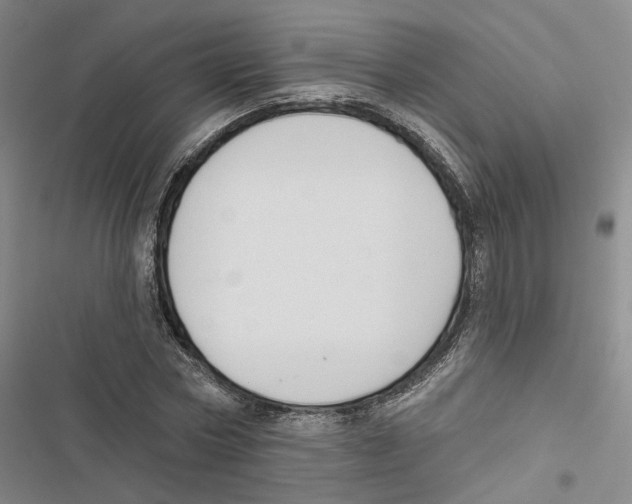 X0000116890778201001191804