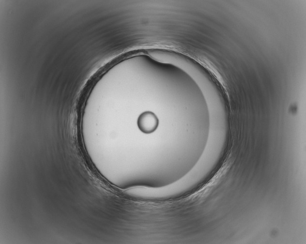 X0000116890781201001191804