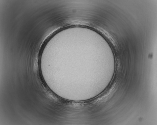 X0000116890782201001191804