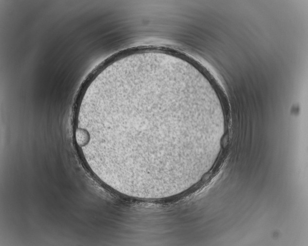 X0000116890783201001191804