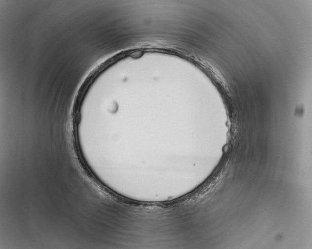 X0000116890784201001191804