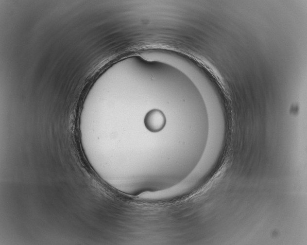 X0000116890785201001191804