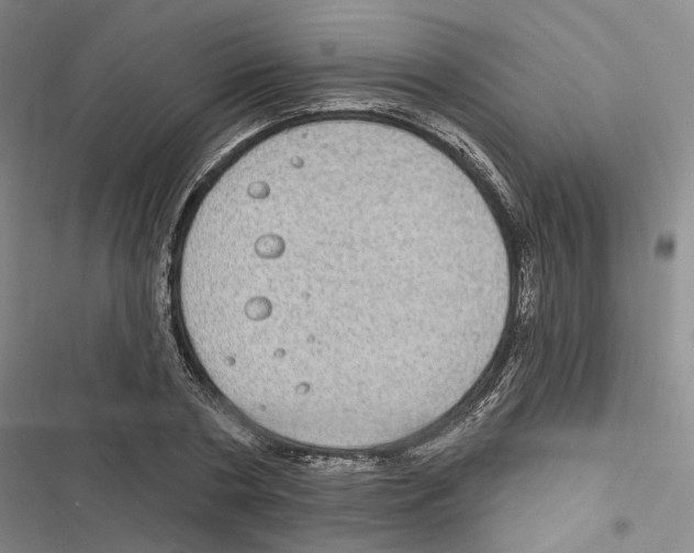 X0000116890786201001191804