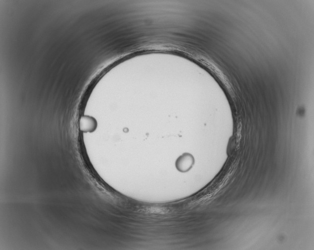 X0000116890787201001191804