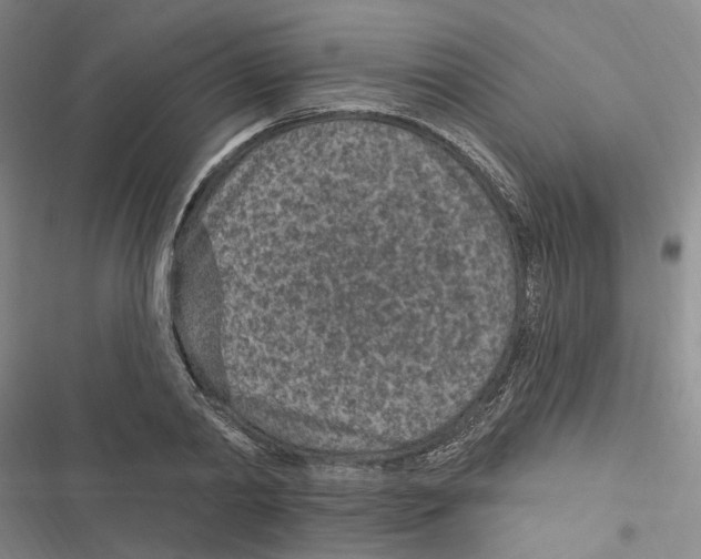 X0000116890790201001191804