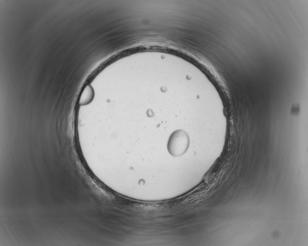 X0000116890791201001191804