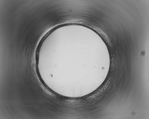 X0000116890792201001191804