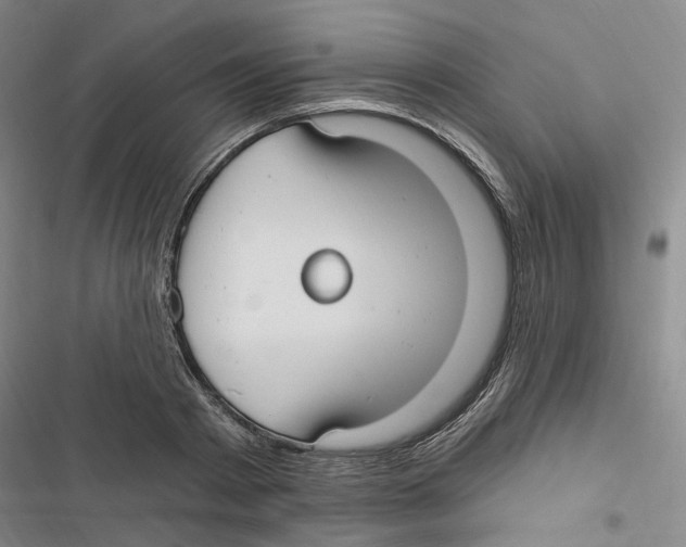 X0000116890793201001191804