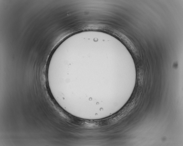 X0000116890794201001191804