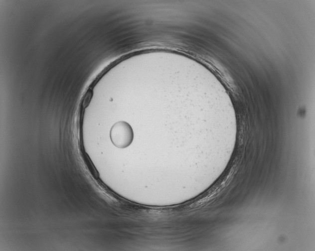 X0000116890796201001191804