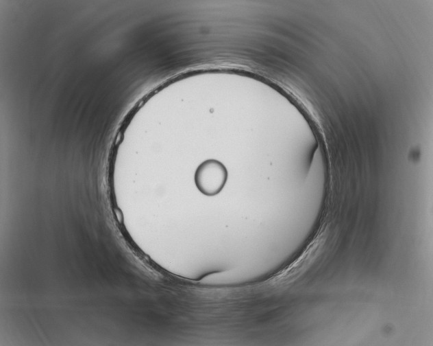 X0000116890797201001191804