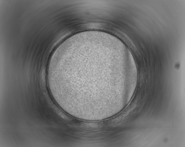 X0000116890798201001191804