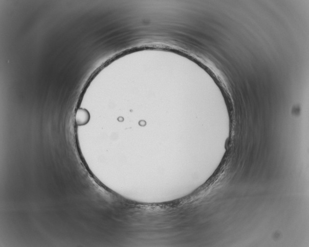 X0000116890799201001191804