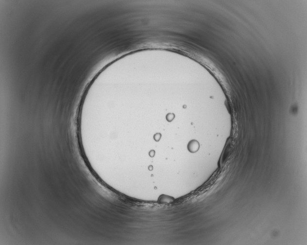 X0000116890803201001191804