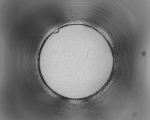 X0000116890805201001191804