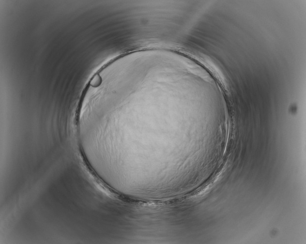 X0000116890806201001191804