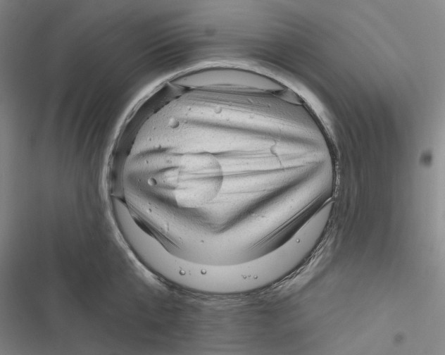 X0000116890807201001191804