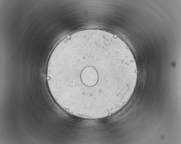 X0000116890810201001191804