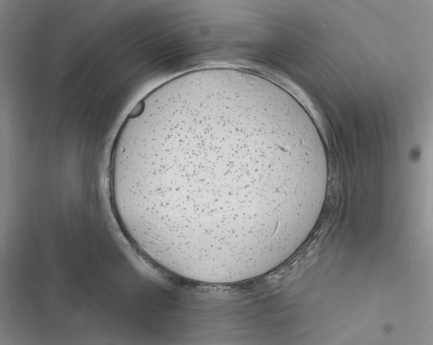 X0000116890811201001191804