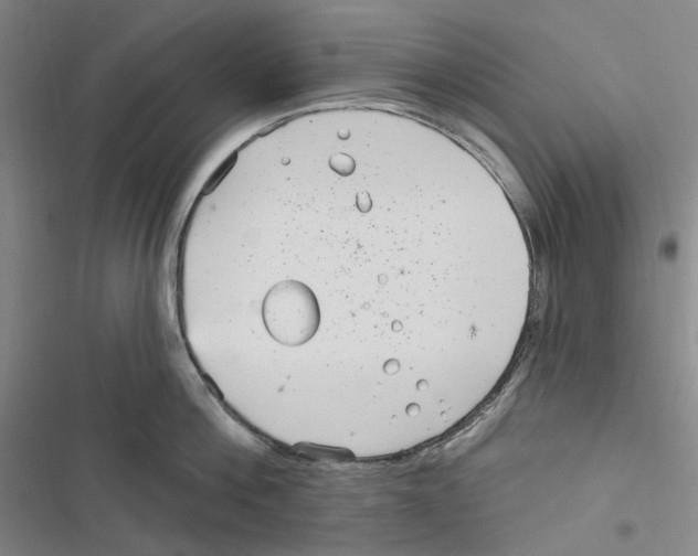 X0000116890812201001191804