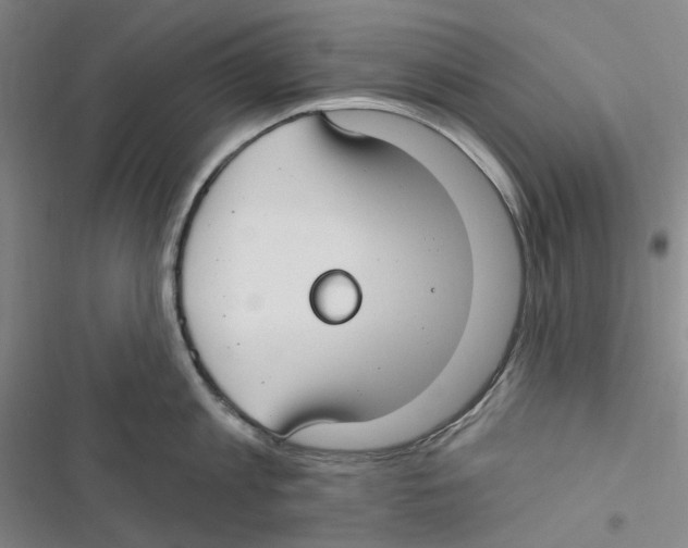 X0000116890813201001191804