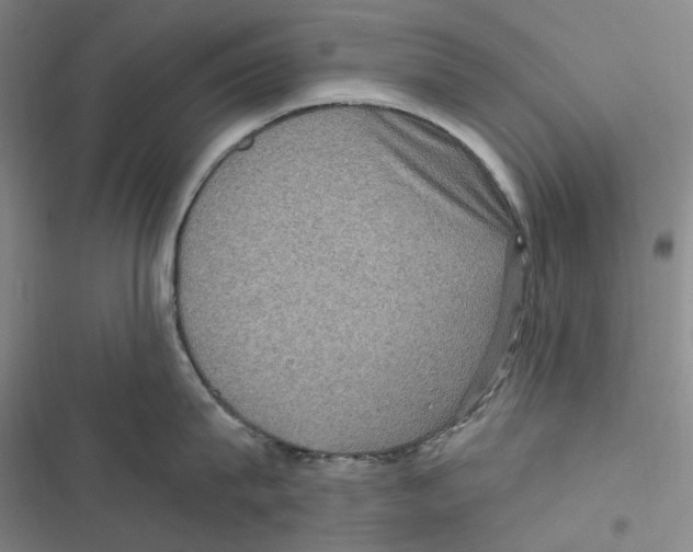 X0000116890815201001191804