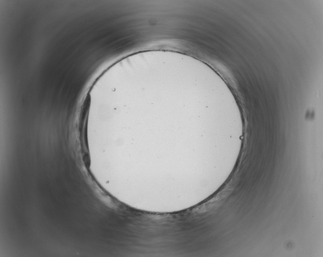 X0000116890816201001191804