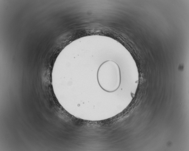 X0000116890820201001191803