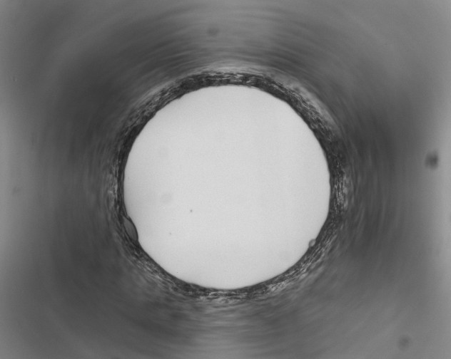 X0000116890821201001191803