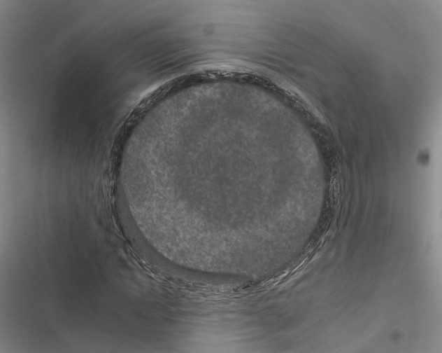 X0000116890822201001191803