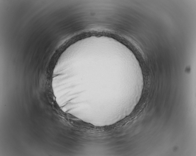 X0000116890823201001191803