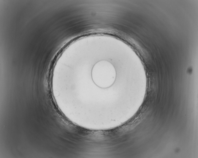 X0000116890828201001191803