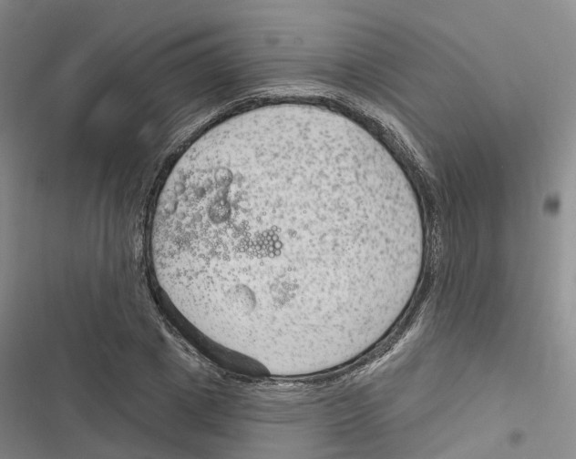 X0000116890833201001191803