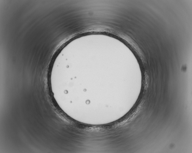 X0000116890834201001191803